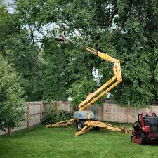 Best Tree Maintenance Programs  in Dahlone, GA